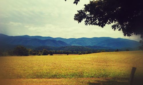 Scenic view of landscape against sky