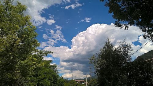 View of trees against cloudy sky