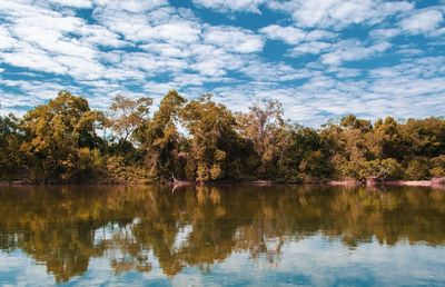 Scenic view of lake by trees against sky