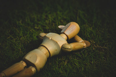 High angle view of cigarette on field