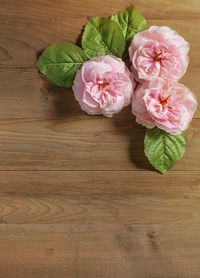 High angle view of pink flower on wooden table