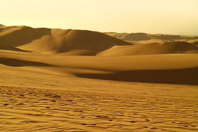 Golden sand dunes with sand ripples and the wheel prints of dune buggies, huacachina desert, peru