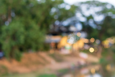 Defocused image of tree against blurred background