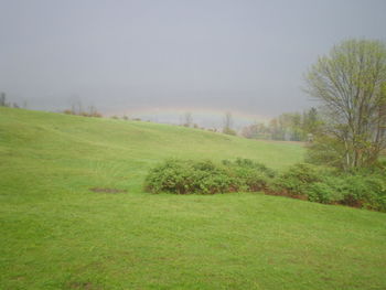Scenic view of grassy field against sky