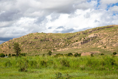 Scenic view of field against sky