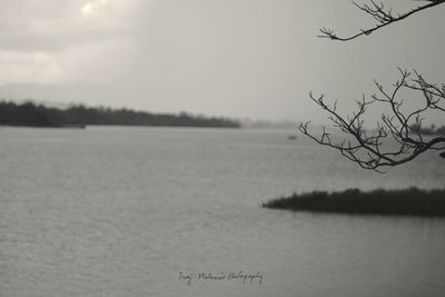 Close-up of tree branches over lake against sky