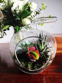 Close-up of succulent plant in pot on table at home