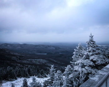 Scenic view of snow covered land and trees against sky