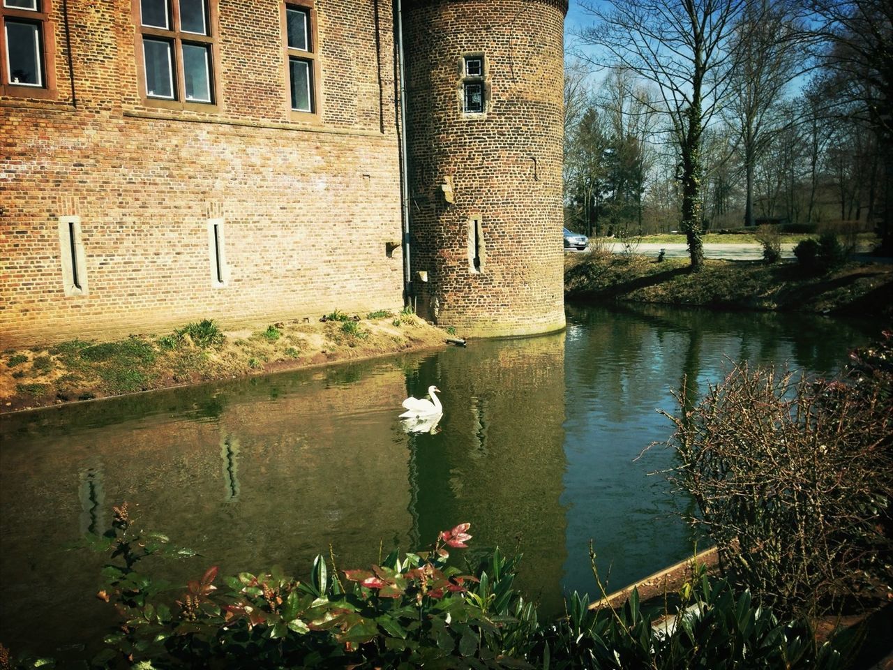 water, architecture, building exterior, built structure, reflection, tree, pond, lake, bare tree, plant, branch, canal, building, nature, growth, waterfront, river, city, day, outdoors