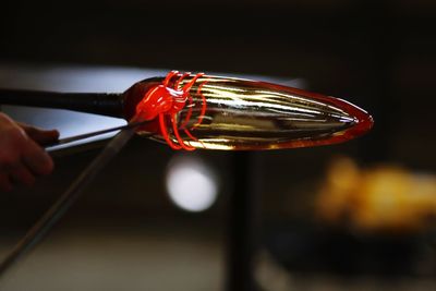 Close-up of hand holding red leaf