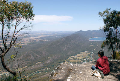 Rear view of man sitting on bench