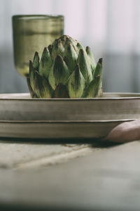 Close-up of organic food on plate