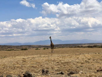 Man standing on field against sky