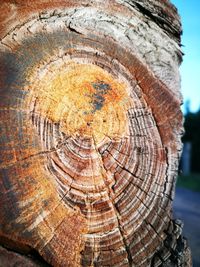 Full frame shot of wood