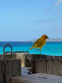 Bird perching on wooden post by sea against sky