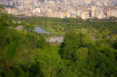 High angle view of trees and buildings in city