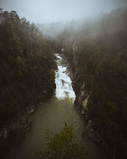 Scenic view of waterfall in forest