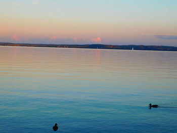 Scenic view of sea at sunset