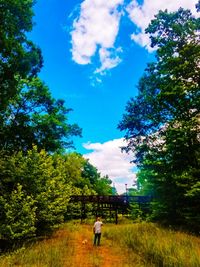 Rear view of man walking in park against sky