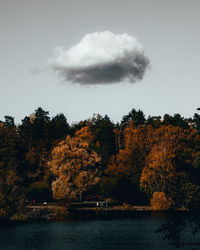 Trees by lake against sky during autumn