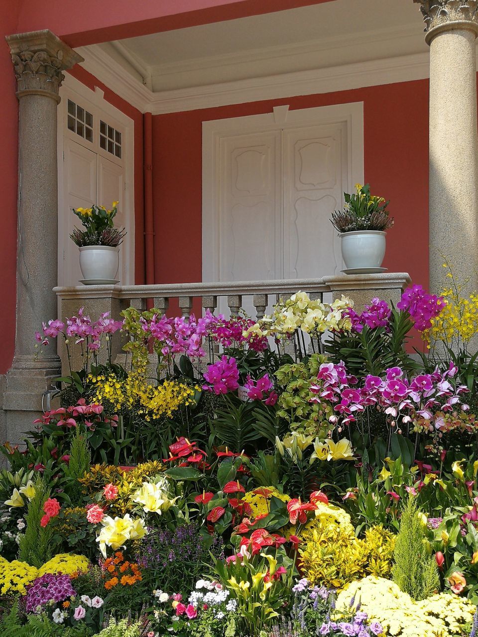 POTTED PLANT AGAINST BUILDING