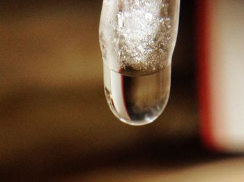 Close-up of ice cubes on glass