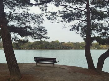 Empty bench by lake