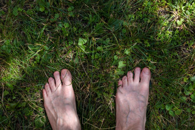 Low section of person feet on grass