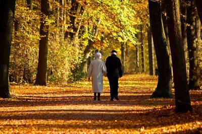 Rear view of senior couple walking in park during autumn
