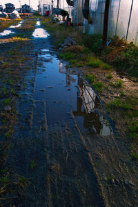 High angle view of wet footpath by river in city