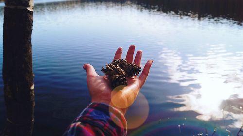 Person holding pine cones over lake