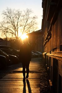 Rear view of silhouette person walking on footpath at sunset