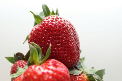 Close-up of strawberries against white background