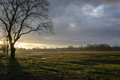 Scenic view of field against sky during sunset