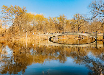 Central park reflection 