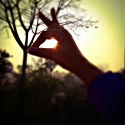 Midsection of silhouette person against trees during sunset