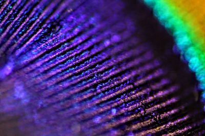 Close up of curtain