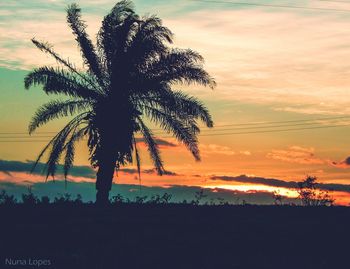 Silhouette tree against sky during sunset