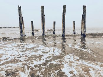 Wooden posts in sea at beach during winter