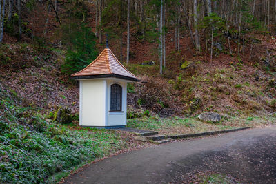 House by trees