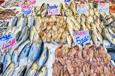 View of fish for sale at market stall