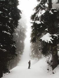 People standing on snow covered landscape