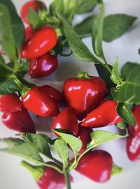 Close-up of red chili peppers