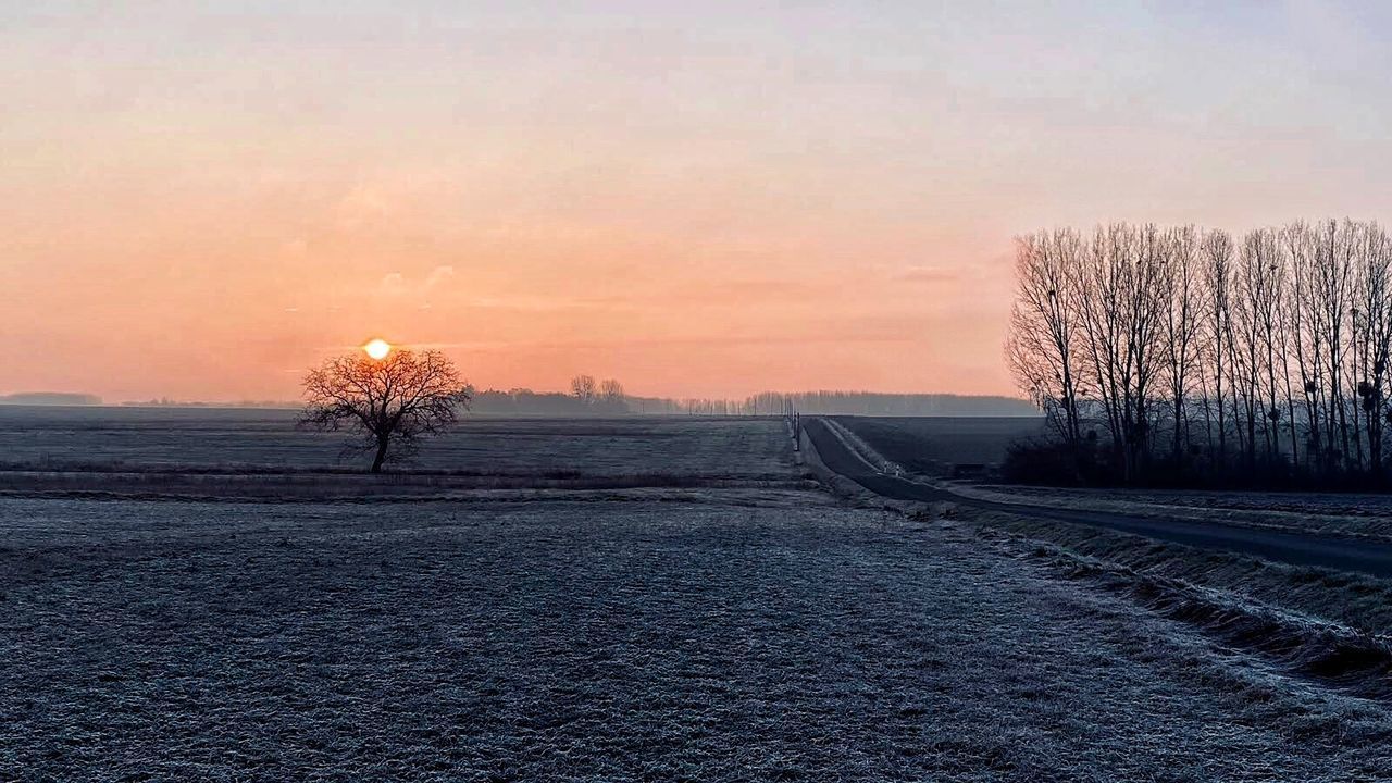 SCENIC VIEW OF FIELD AGAINST SKY DURING WINTER