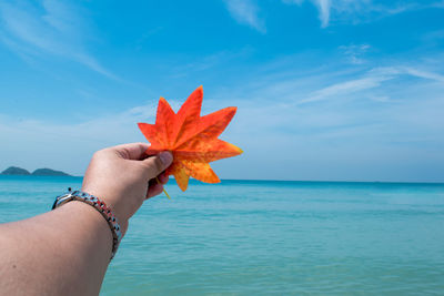 Midsection of person holding sea against sky