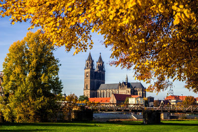 Magdeburg cathedral in city during autumn