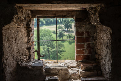 window