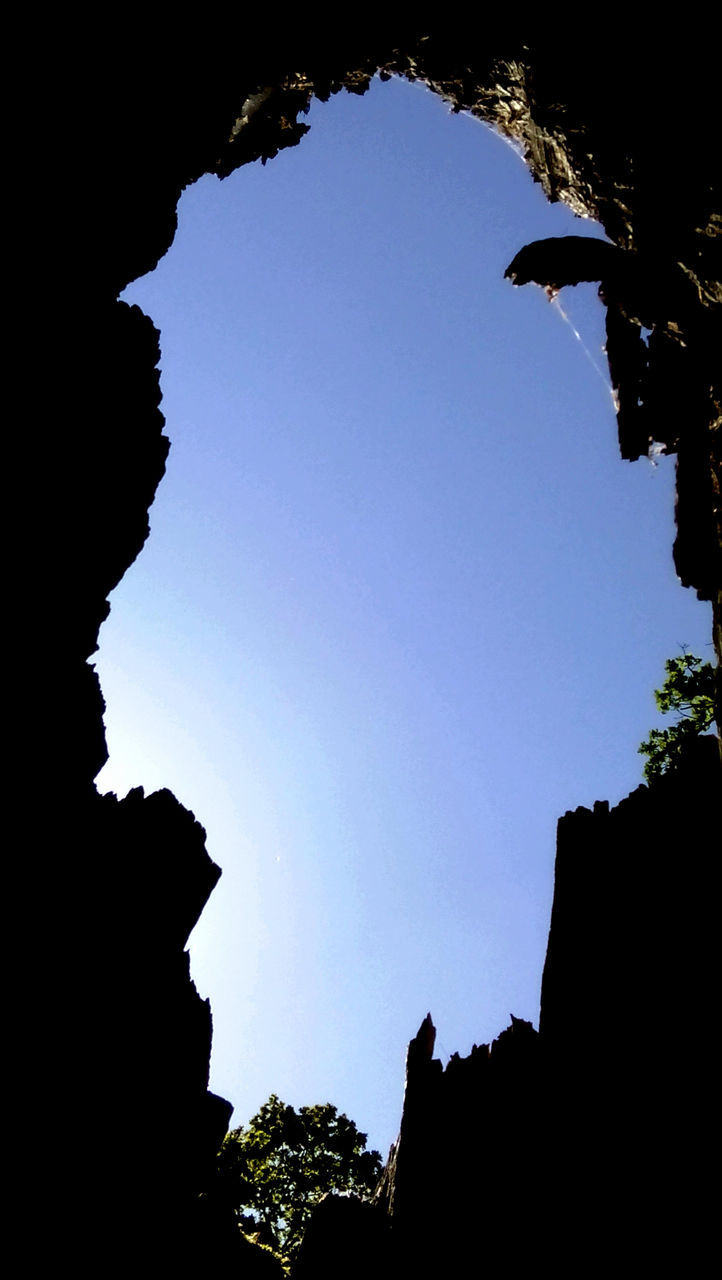 SILHOUETTE TREES AGAINST CLEAR SKY