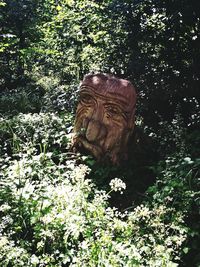 Close-up of statue against plants