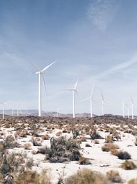 Windmills on ground against sky